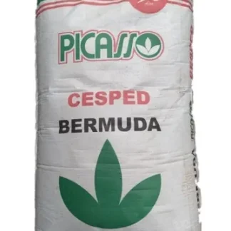 Semilla Cesped Bermuda 25 kg Picasso