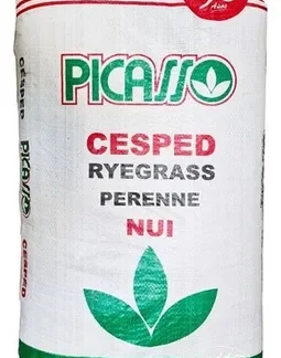 Semillas Perenne Nui Picasso 25kg