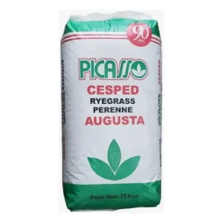 Semilla Perenne Augusta Picasso 25 kg