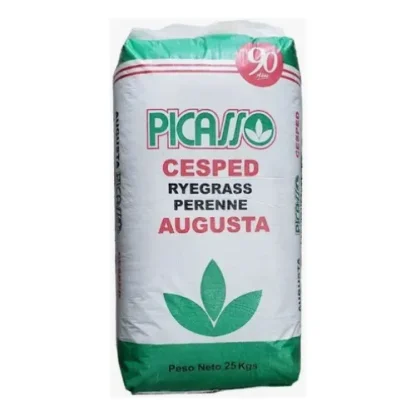 Semilla Perenne Augusta Picasso 25 kg